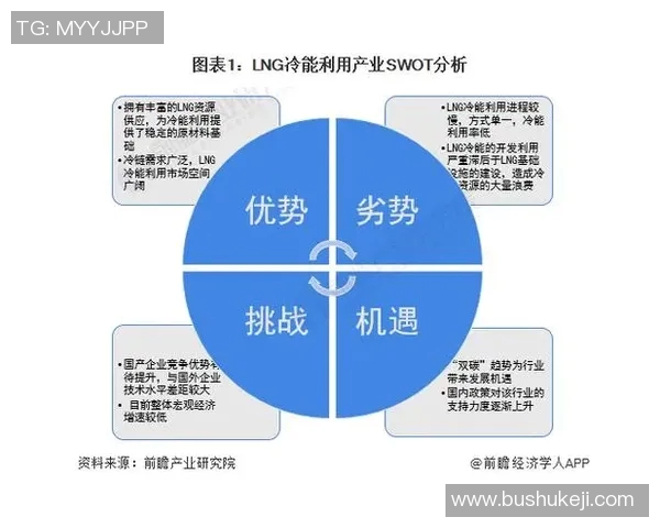 专业分析LNG市场的快速进攻策略与未来发展趋势 专业分析LNG市场的快速进攻策略与未来发展趋势