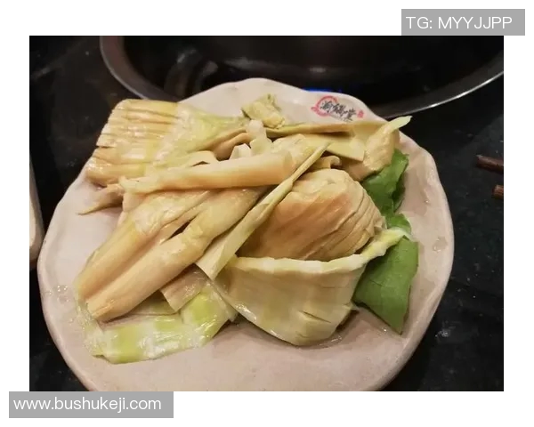 深度对话:探索吴秀英的篮球人生与奋斗历程 深度对话:探索吴秀英的篮球人生与奋斗历程